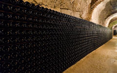 Caves de Champagne - Epernay